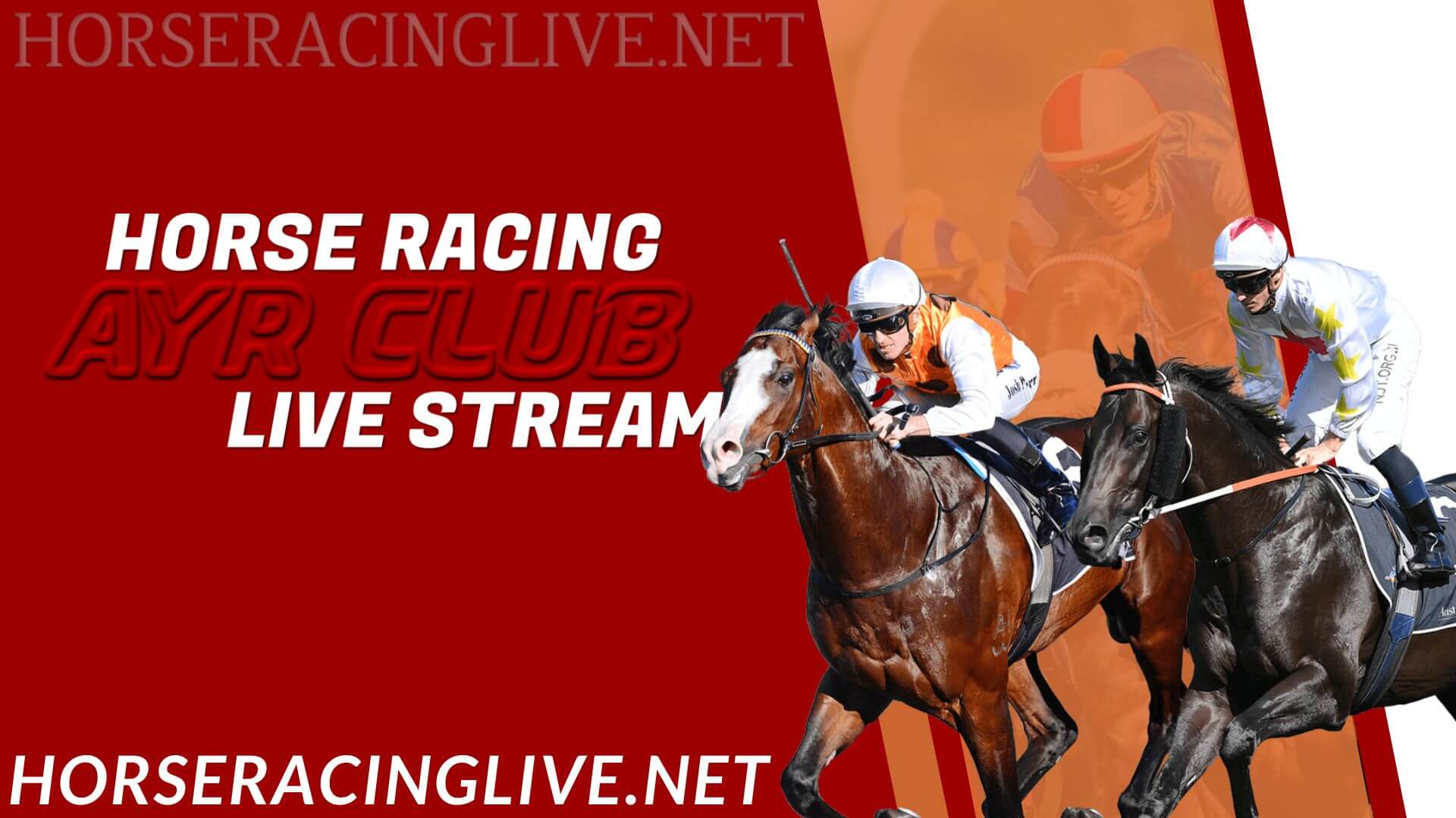 Ayr Horse Racing Live Stream 2023