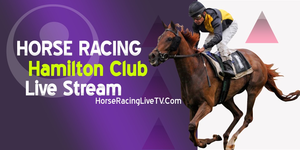 Hamilton Park Horse Racing Live Stream 2023