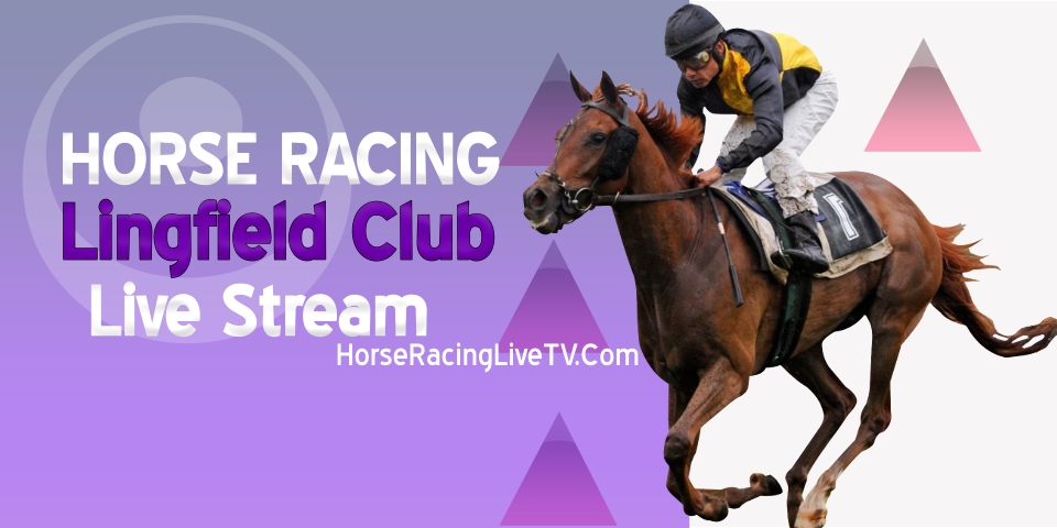 Lingfield Park Horse Racing Live Stream 2023