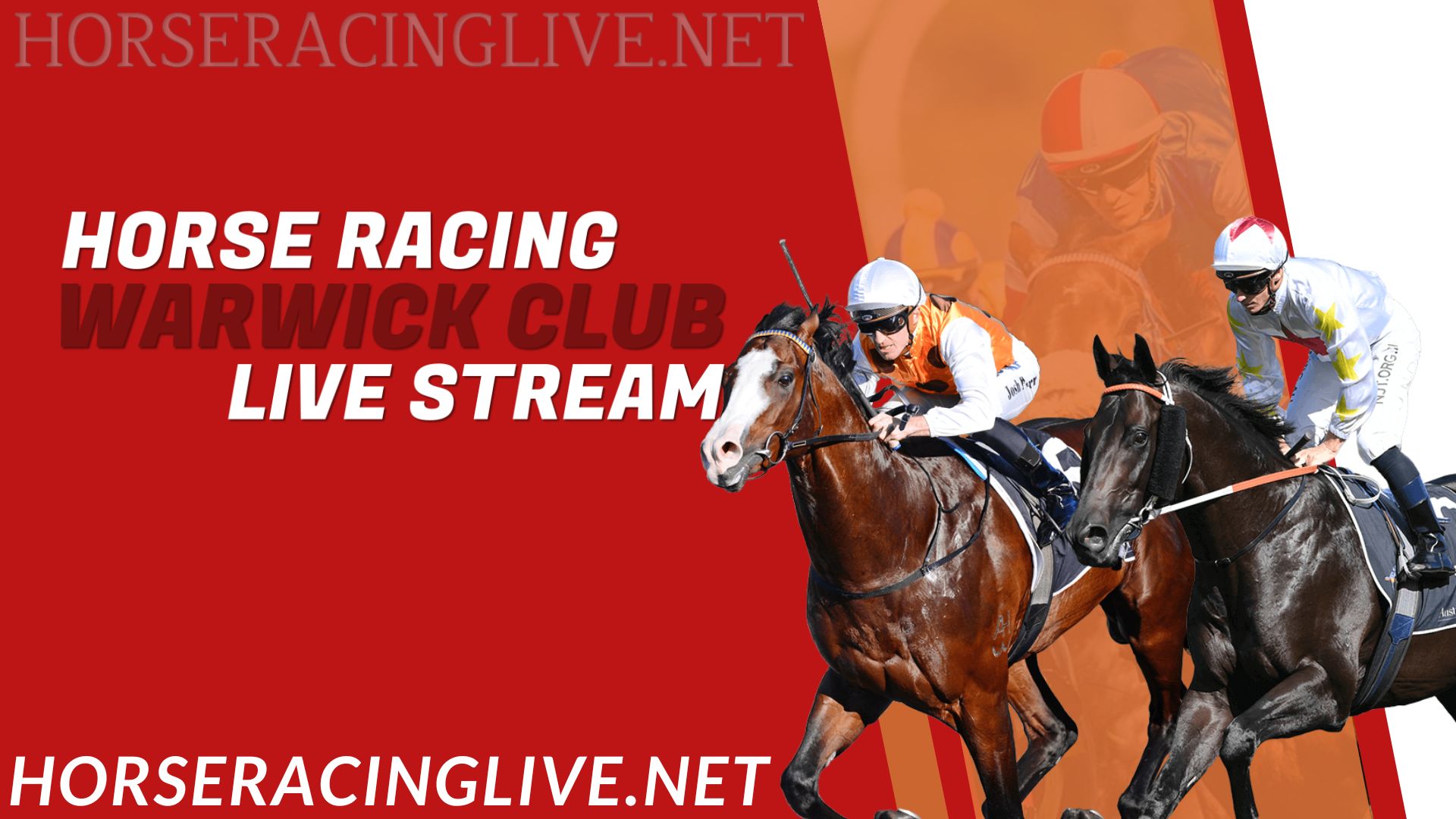 Warwick Horse Racing Live Stream 2023