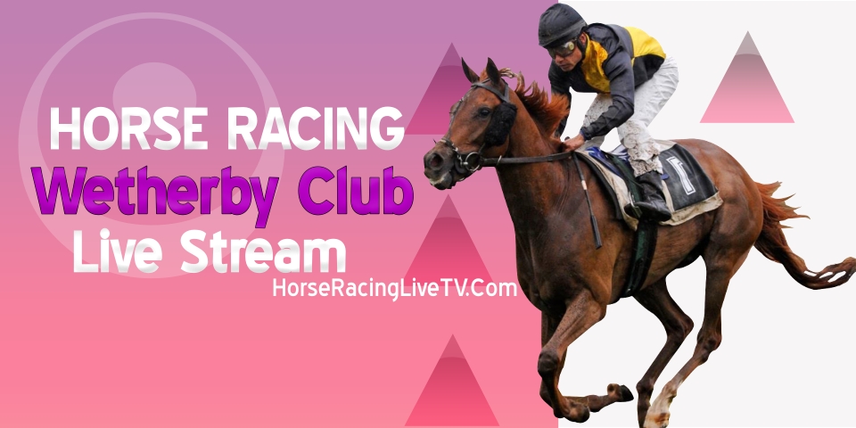 Wetherby Horse Racing Live Stream 2023