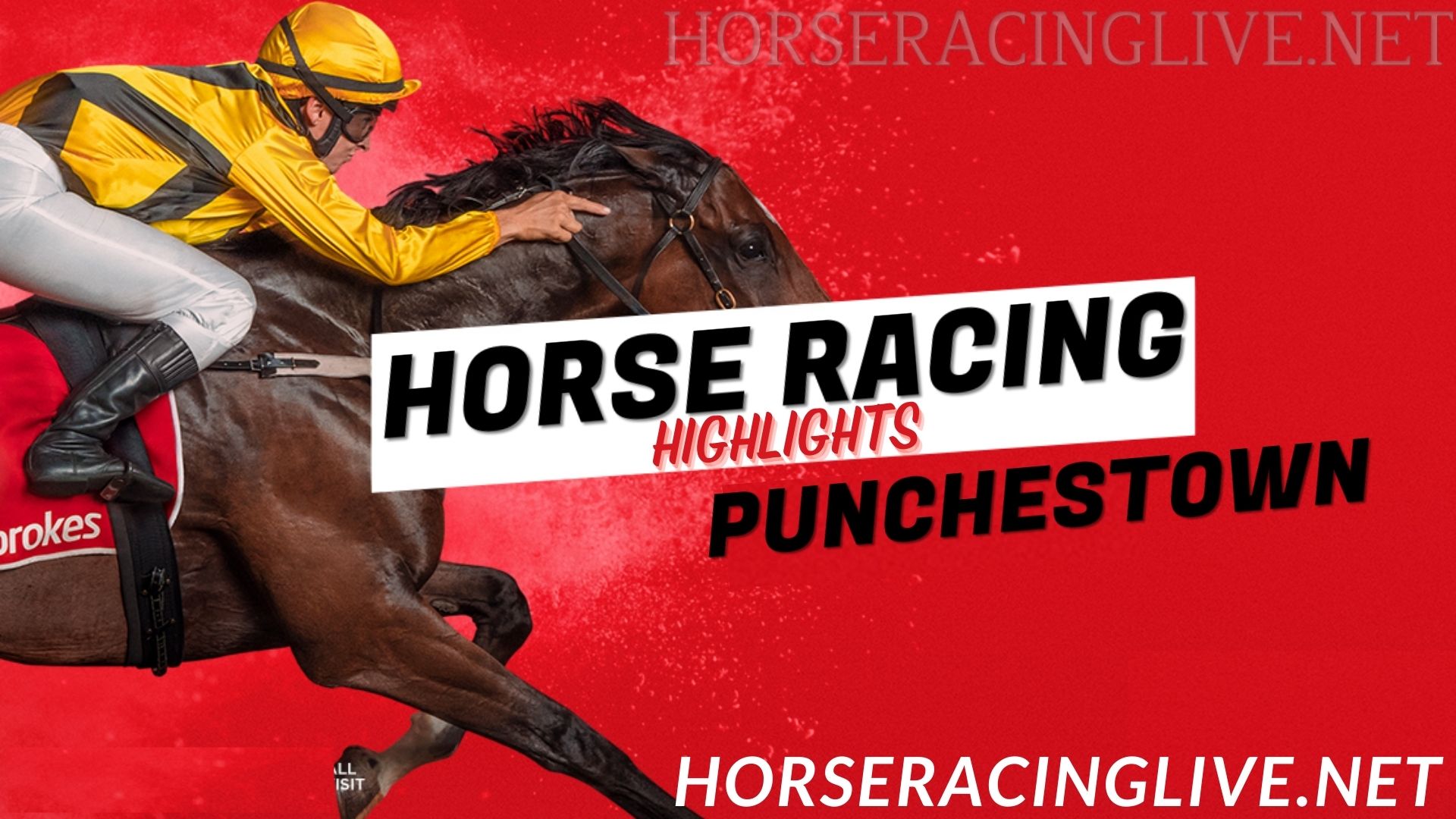 Punchestown Every Race Live On Racing TV Handicap Hurdle 2022 23 02