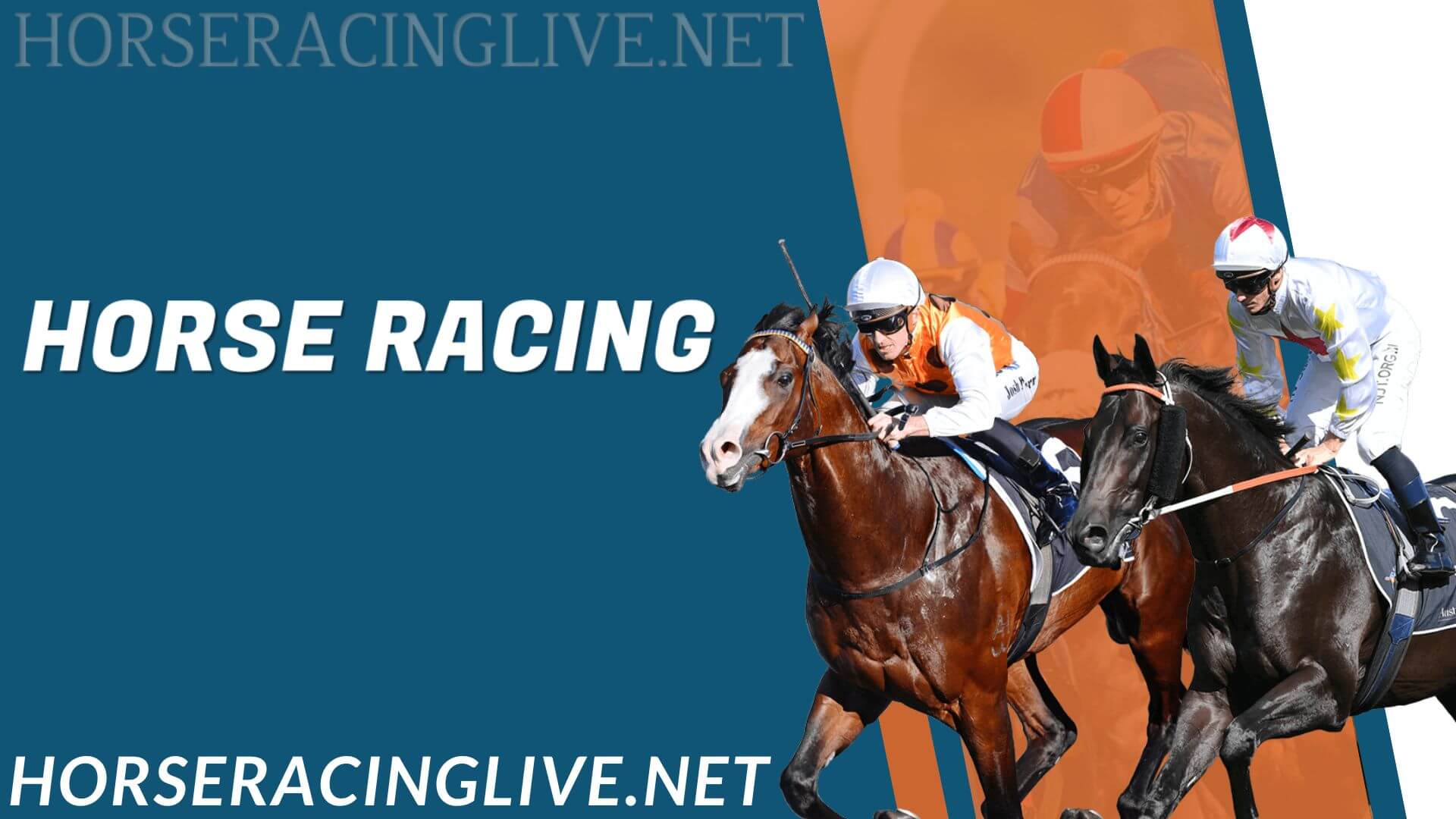 Live Horse Racing Stream Watch Online