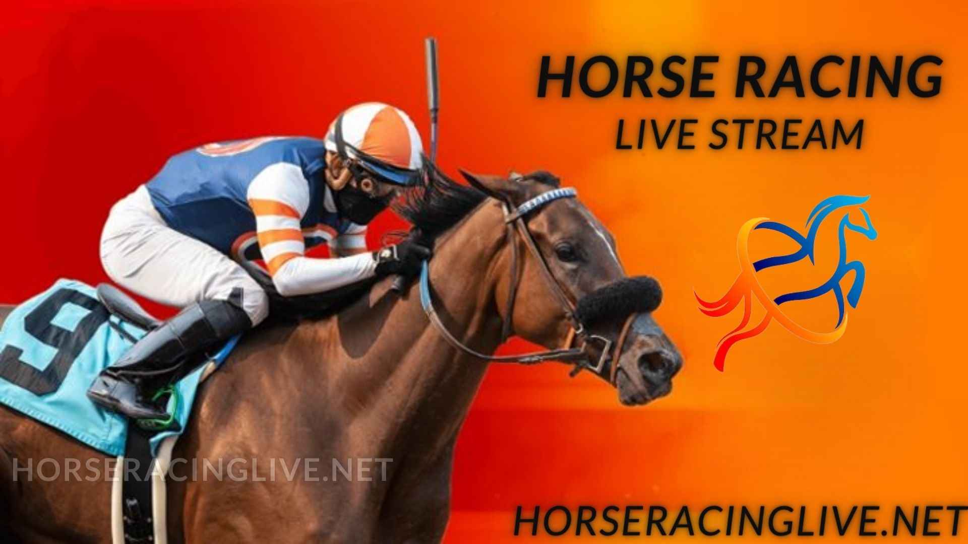 Live Horse Racing Stream