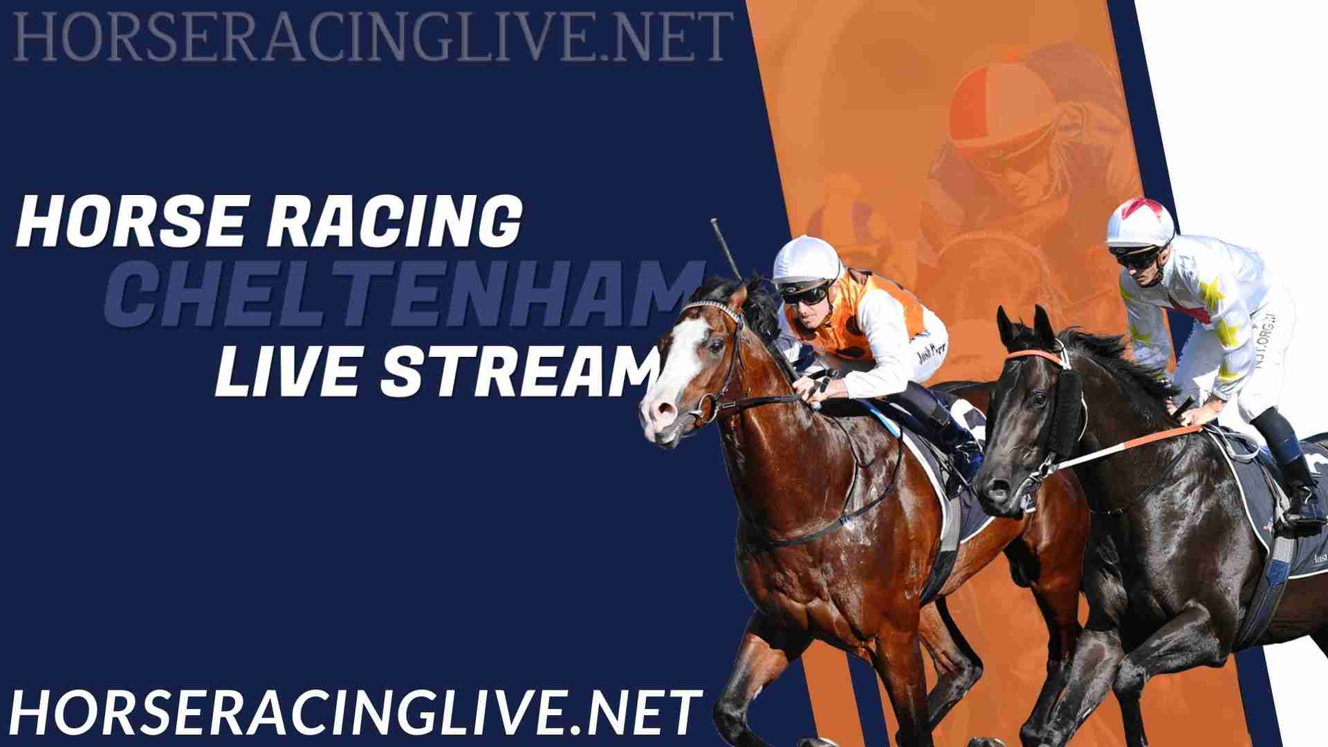 Cheltenham Festival Horse Racing Live Stream
