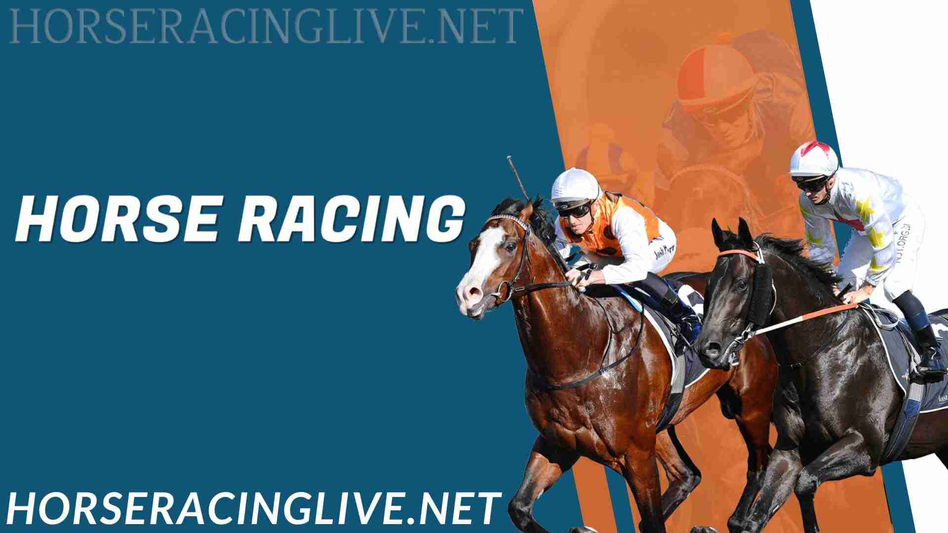 horse-racing-live-stream