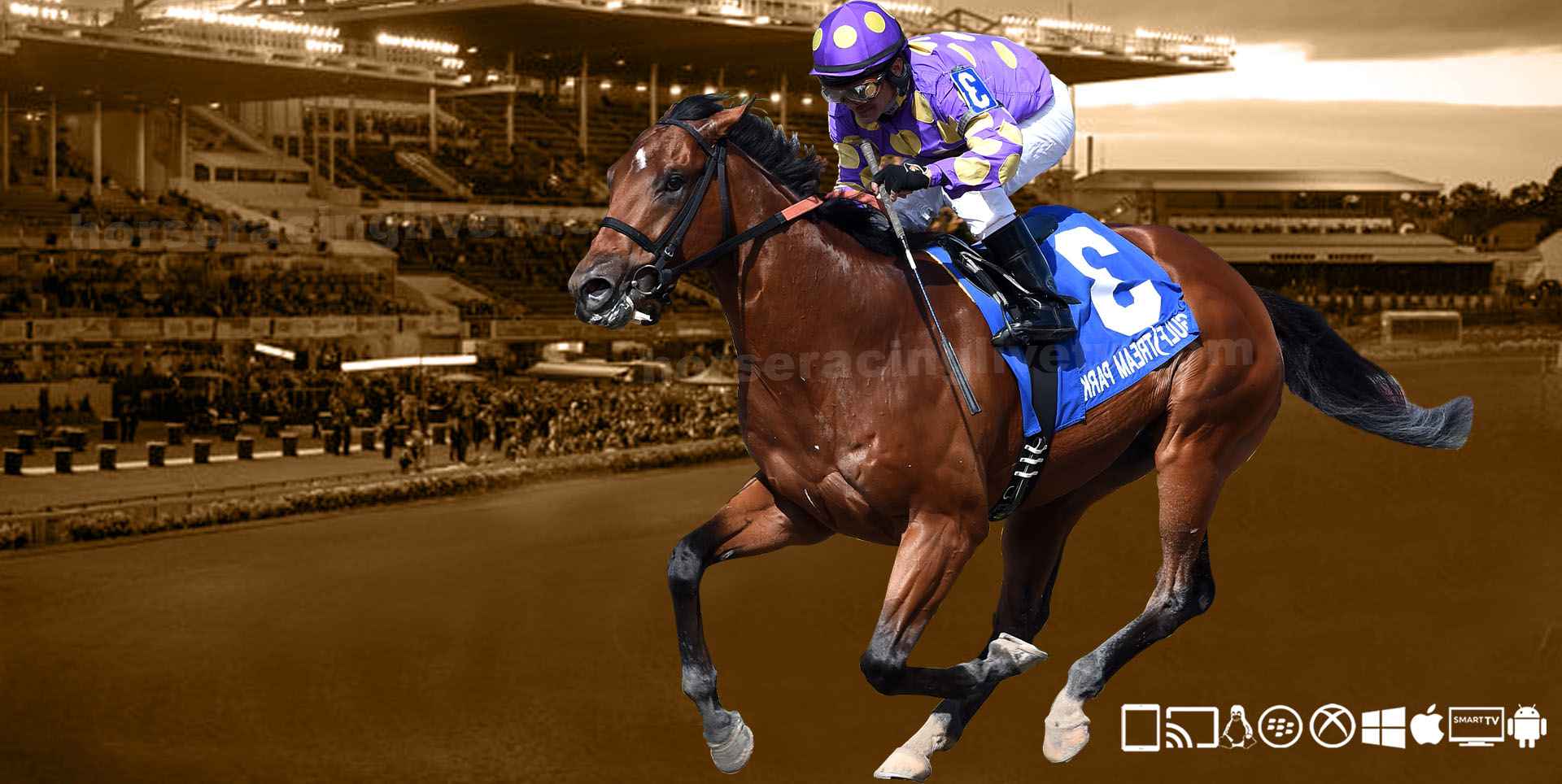 Punchestown Join Racing TV Now I N H Flat 2022 23 02