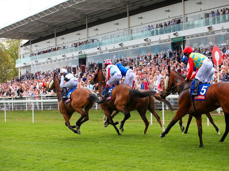 Hamilton Park Racecourse