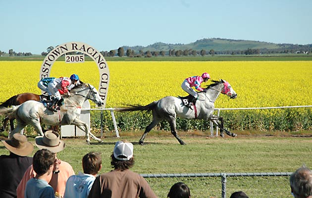 Jamestown Racecourse