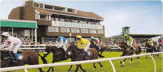 Sedgefield Racecourse