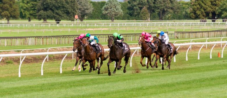 Tauranga Racecourse