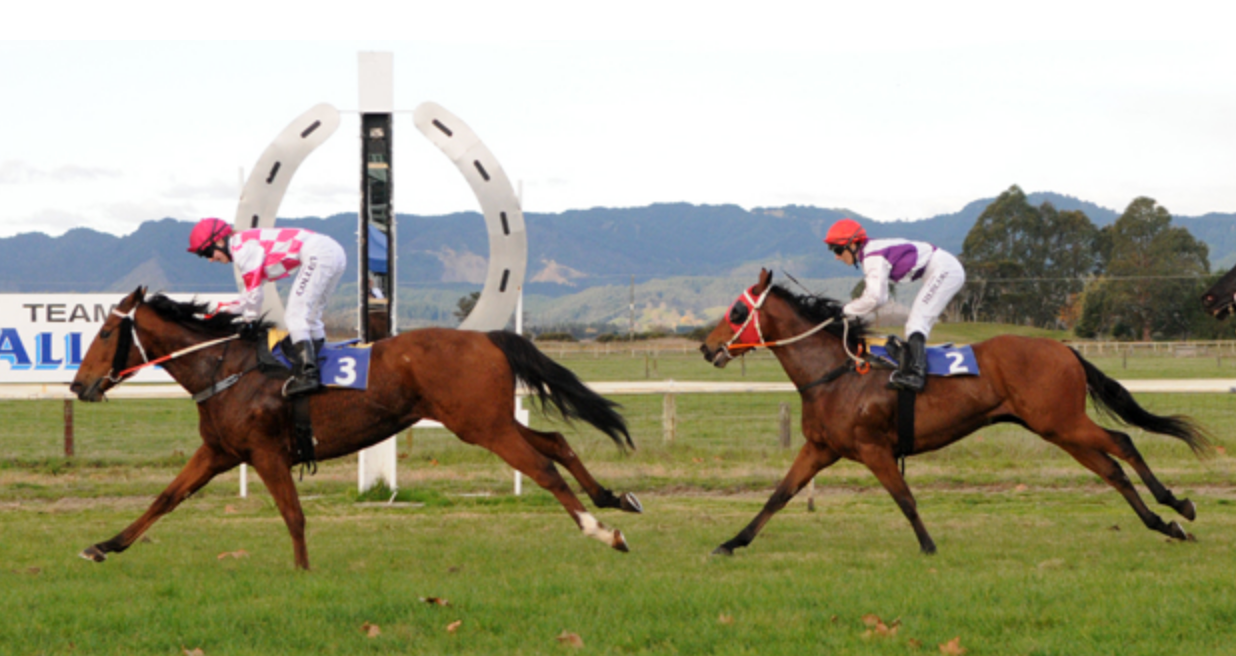 Te Teko Racecourse